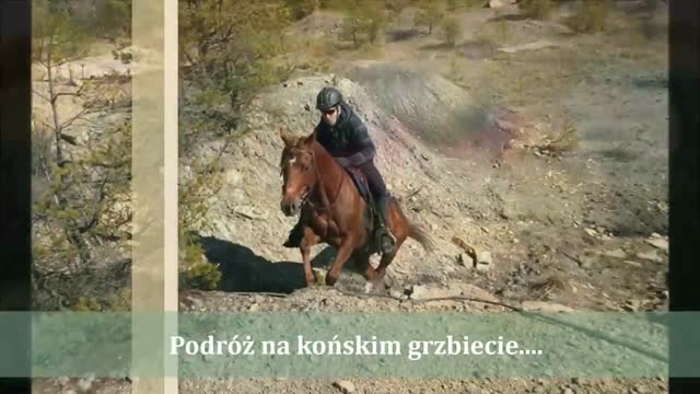 Lucky 5 Ranch -poleca newsHOTEL.pl