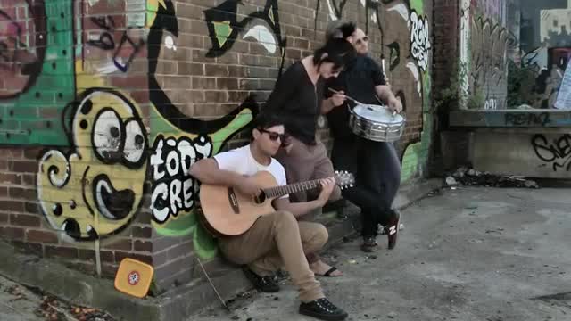 Little White Lies - Red Tulips