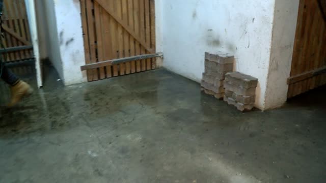 Ekspres_Wydarzenia_24_11_2017