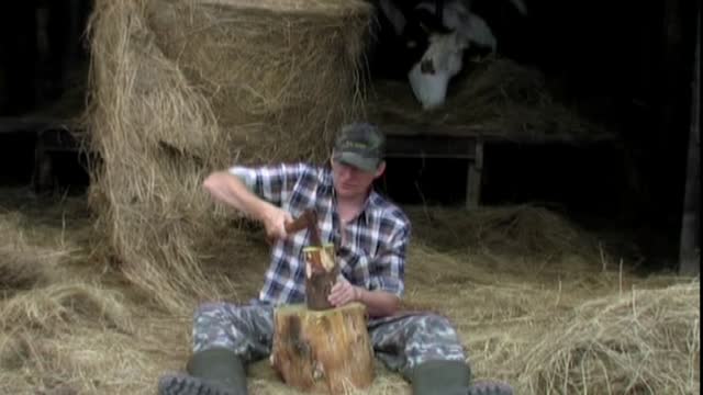 Adi - Dwa problymy4013