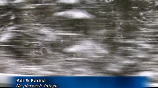 Adi - Na platkach sniegu4014