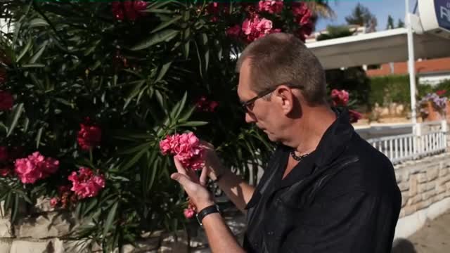 Adi - Tysiąc kwiatów chce ci ofiarować