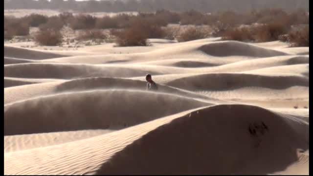 Jacek Silski - Zagubiona Wyspa091