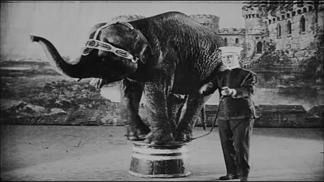 Nadia jest Impreza 1