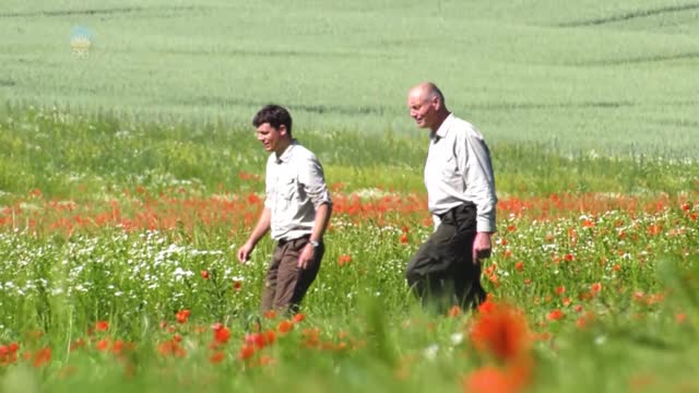 Nowe rolnictwo na rzecz nowego czasu. Kwitnące pola pełne życia.