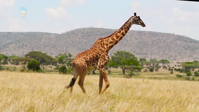 Żyj ze mną. Część 09