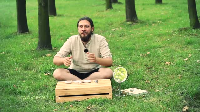 Jak degustować i opisać herbatę? (część 1)