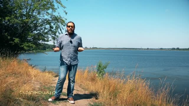 Herbata z portugalii