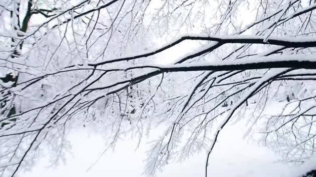 Czy warto kupić fellow prismo do aeropressu?