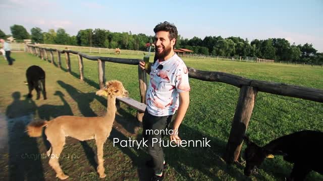 Zielona herbata z ogórkiem i limonką