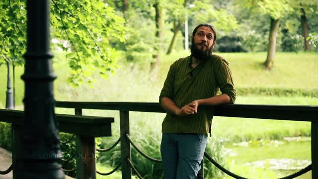 Herbata mleczny oolong